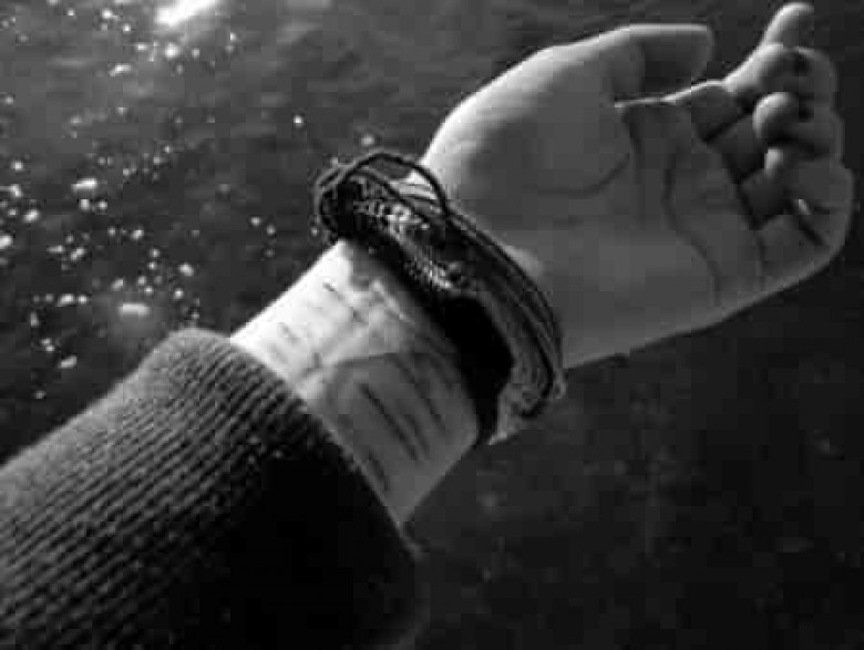 Группа muse. Селфрам песня. Самоповреждающее поведение. Селфрам песня. Оскар монеточка.